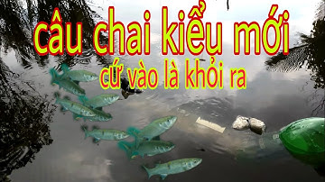 hướng dẫn làm bẫy cá đối bằng chai nổi trên mặt nước thật đơn giản