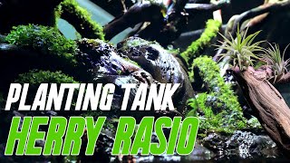 PLANTING TANK HERRY RASIO !!!