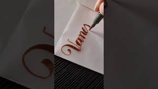 Name Request Vanessa