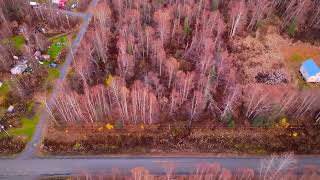 10 ACRES for sale in Trapper Creek ALASKA MLS: 25-13254