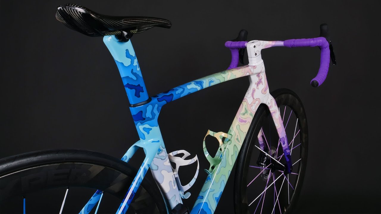 We Built My Sister’s Dream Bike with a Paint Job You’ve NEVER Seen Before!