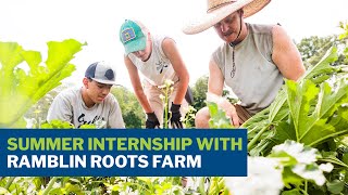 A Fruitful Summer Internship: Gulls Farm With Ramblin Roots