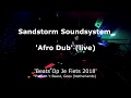 Sandstorm Soundsystem - 'Afro Dub' live (acid/ dub/ techno)
