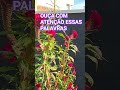 Momento de reflexão #viralvideo #foryou #motivacional #motivar #inspirador #fe #mensagem #sabedoria