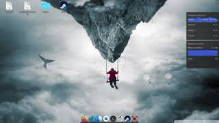 Install any software on Debian for beginners