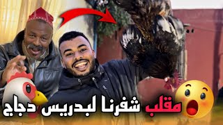 درنا مقلب بدريس وشفرنا ليه دجاج😱ولكن ردة فعل ديالوا صادمة طلع ولد الخير😂ضيف الحلقة غادي يصدمكم🚨