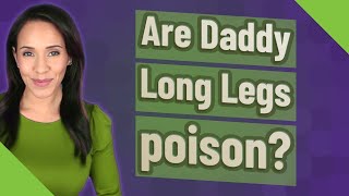 Are Daddy Long Legs poison?