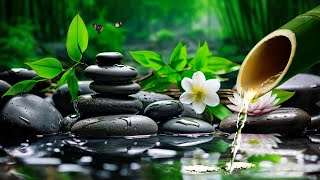Bamboo Water Fountain Healing - Relaxing Anti Stress Music To Calm The Mind by Peaceful Relaxation 273 views 1 month ago 3 hours, 32 minutes
