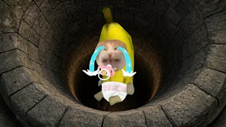 Banana cat crying not happy compilation 538 #babybananacat #happycat #catmemes #bananacat