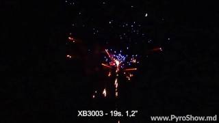XB3003