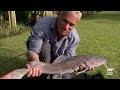 Catching the WRONG Monsters | River Monsters | Animal Planet
