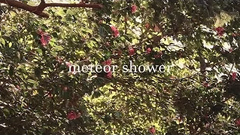 Sandi gray eyes - meteor showerMV