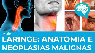 ANATOMIA E NEOPLASIAS MALIGNAS DA LARINGE | AULA | DR MARCOS DECNOP