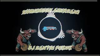 DJ BANTENGAN SANTRI PEKOK ‼️ (RMX BY) (FANZZ PROJECT)