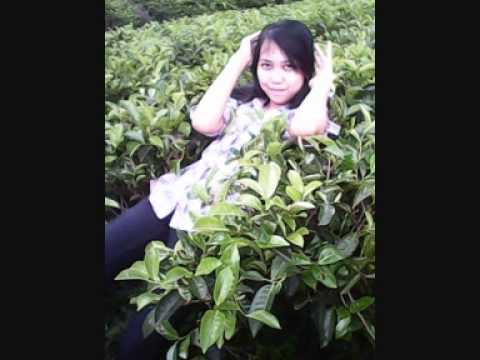 Geisha - Seharusnya Percaya