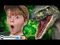 Giant Life Size T-Rex Chase & Brachiosaurus Dinosaur | Jurassic Tv | Dinosaurs and Toys | Family Fun