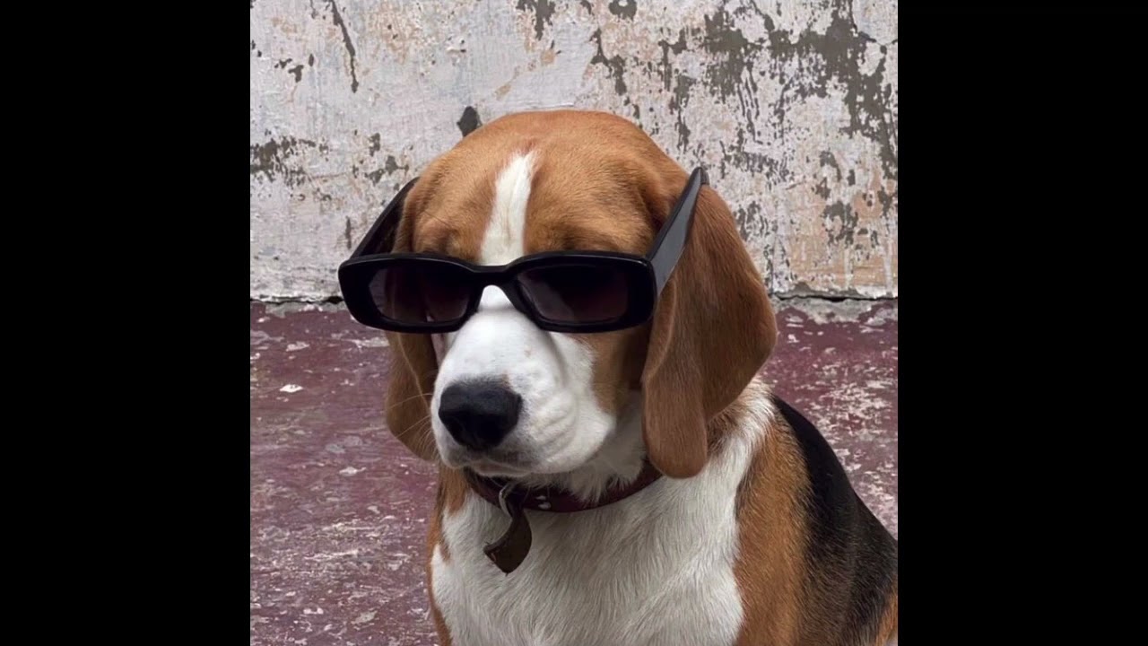 steve lacy - guide [sped up]