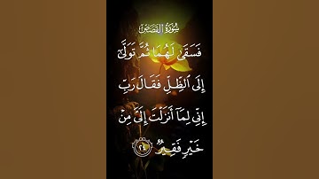 سورة القصص فسقى لهما ثم تولى إلى الظل فقال رب إني لما أنزلت إلي من خير فقير الاية ٢٤