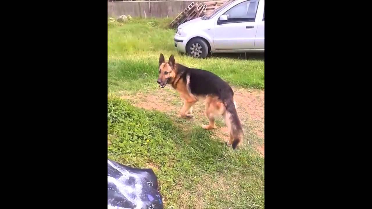 HiphopCorn - HHC - Backstage - INNO ALLA LIBERTA'