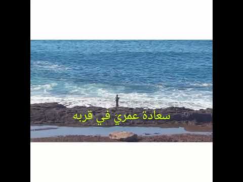 نشيد أبي أنت نور جرى في دمي