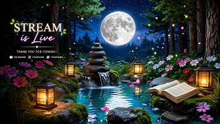 Deep Sleep Therapy with Natural Sounds 🌿 Stress Relief, Insomnia & Focus Healing