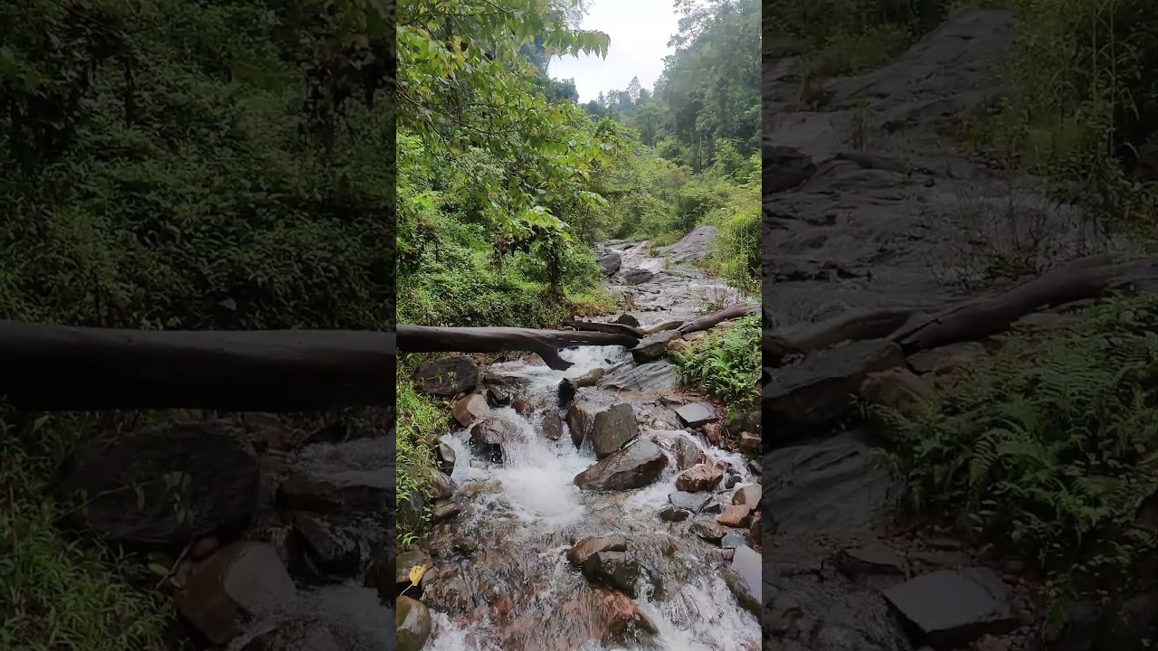 Relaxing Morning Drive Through Lush Green Hills - Peaceful Nature Sounds & Scenic Views