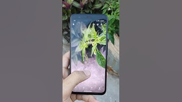Google pixel 4 camera beast in 2024 #googlepixel4 #google #googlepixelcamera