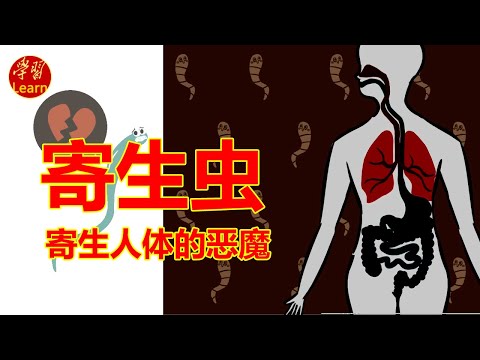 寄生人体的恶魔—医学寄生虫学 粪类圆线虫Strongyloides stercor