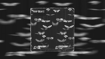 (FREE) SAMPLE PACK / LOOP KIT - "MAMBA LOOPKIT" (Cubeatz, Pvlace, Wheezy) | prod. Trip Beatz