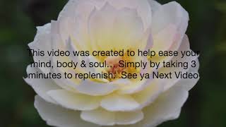 Calming Meditation & Yoga Musical Selection [Warrior 1 Pose]