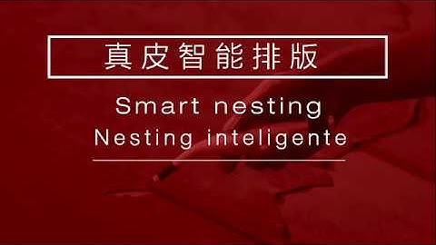 Genuine Leather Nesting