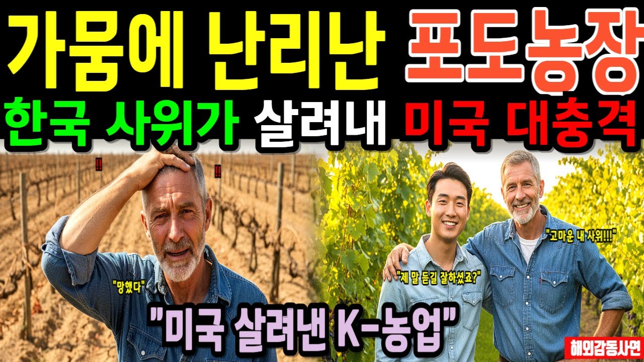 농사 망해서 울던 미국 장인어른, 한국사위가 깐 한국농업기술 '검은 플라스틱'보고 주저앉았다! 미국 무릎 꿇린 한국사위의 K농법 [해외감동사연] 