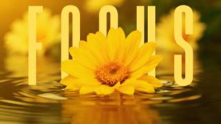 Yellow In Graphic Design  Intellect Ideas U0026 Deep Focus  jqkart