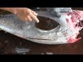 How to Fillet  Yellowfin Tuna