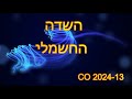 פיזיקה. כיתה יב. אלקטרוסטטיקה . השדה החלשמלי. GO2024. 13