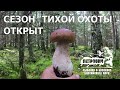 VLOG: УДОВОЛЬСТВИЕ от похода в лес. Сентябрь 2020.