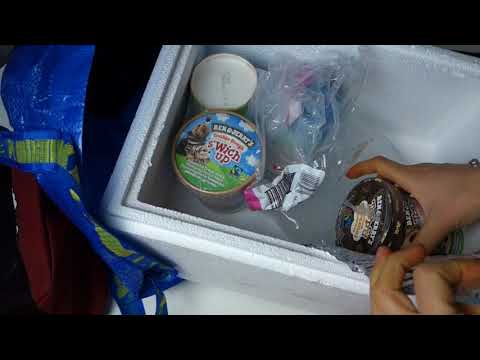 How to properly transport ice cream! + Iceguerilla vote