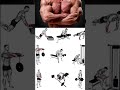 forames exercise video home workout 🏋️💪 #abs #shoulder #abs #gym #motivation #sports #fifaworldcup