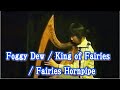 坂上真清 (Wire String Celtic Harp) / Foggy Dew ~ King of Fairies ~ Fairies Hornpipe