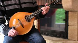 Irish mandolin lessons. The musical priest (Irish reel) chords