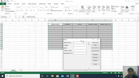 CARA INPUT DATA SECARA CEPAT DI EXCEL MENGGUNAKAN FORM