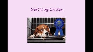 Best Dog Crates | Heavy Duty, Escape Proof, and Indestructible