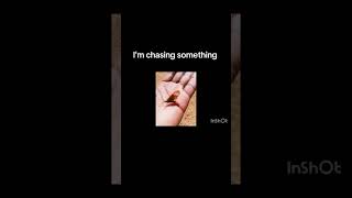 #music #chillhop #chasingsomething #future #goals #chillhop #africanhop #song #chillvibes #uplifting