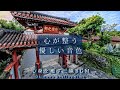 【自律神経を優しく整える三線の音色】沖縄の映像とBGMでリラックス空間