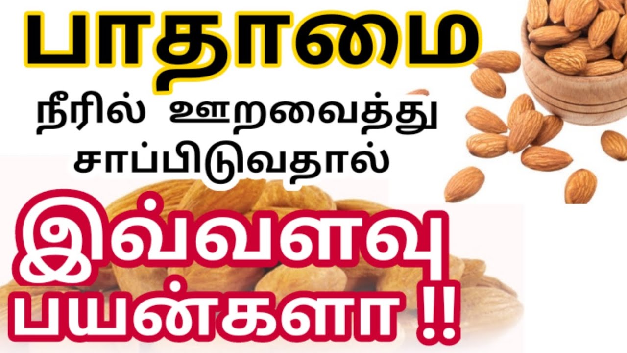 பாதாம் பருப்பு நன்மைகள் Almond benefits in tamil பாதாம் மருத்துவ குணங்கள் Badam payangal in