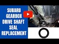 Propshaft / Driveshaft Seal Replacement Subaru Gearbox