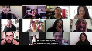 Voices Through Diversity Voces Desde La Diversidad