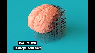 How Trauma Destroys Your Sense of Self (PTSD Literature Review)
