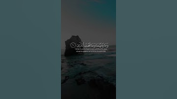 اجمل حالات واتس اب | شريف مصطفی سورة طه