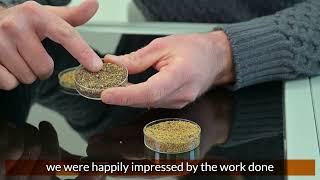 Seed sorting, Fenix optical sorters, 3U Vision for Artigiansementi snc - SUB ENG
